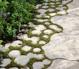 Lily Full Tile Small grey from Deer concete
