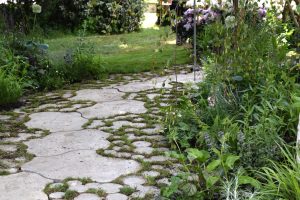 Lily Full Tile Small grey from Deer concete